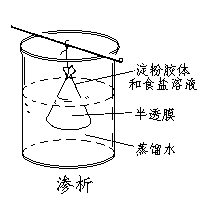 渗析- 化学自习室-百科 - Powered by HDWiki!